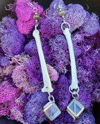 Coyote Bone Earrings
