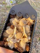 Load image into Gallery viewer, Deer Vertebrae Earrings
