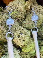 Coyote Bone Earrings