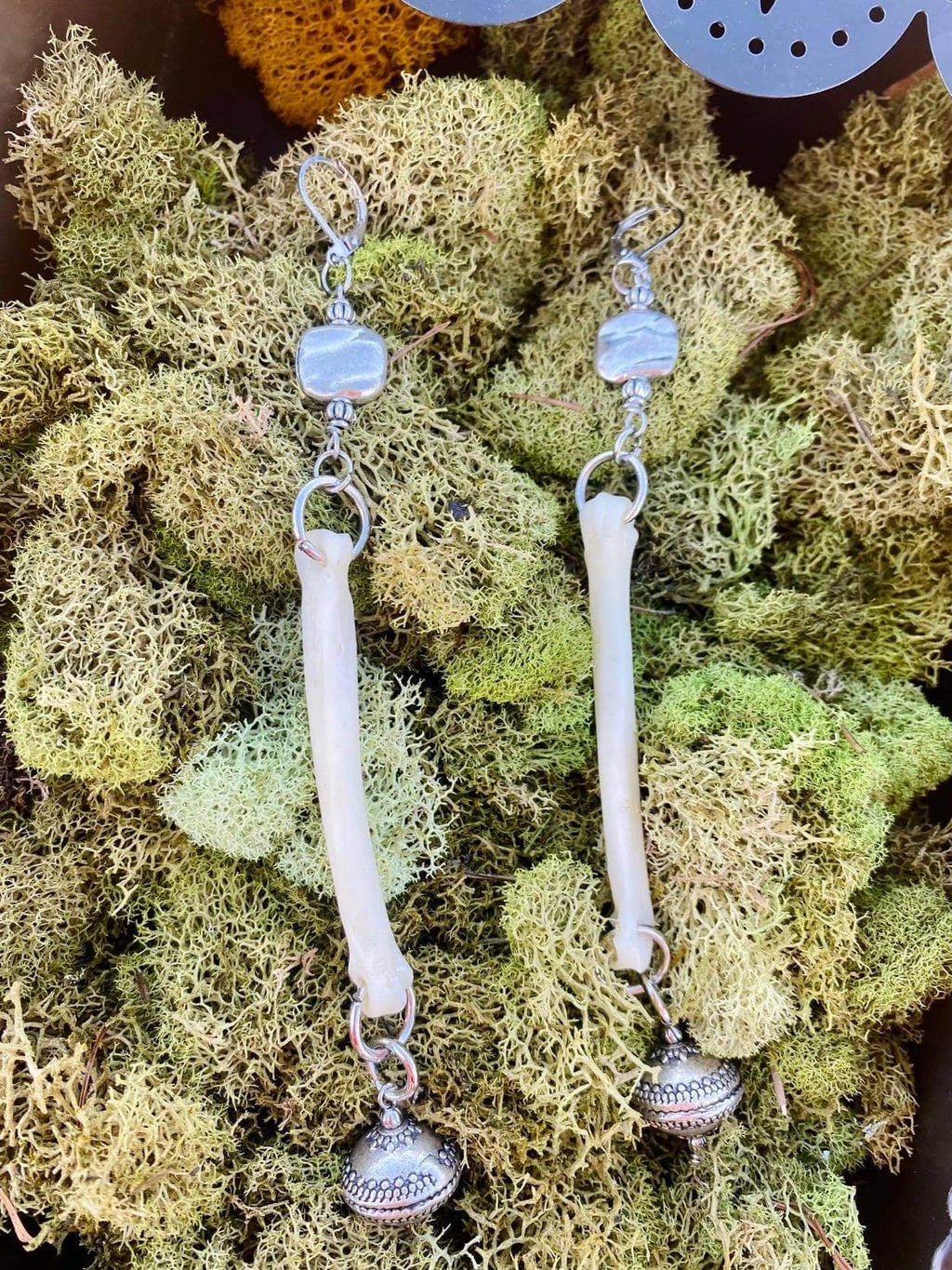 Coyote Bone Earrings