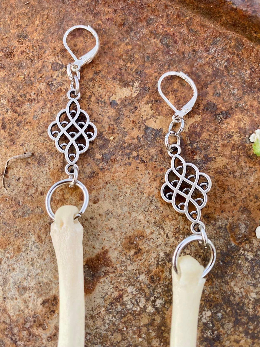 Coyote, skulls, and crossbones Earrings