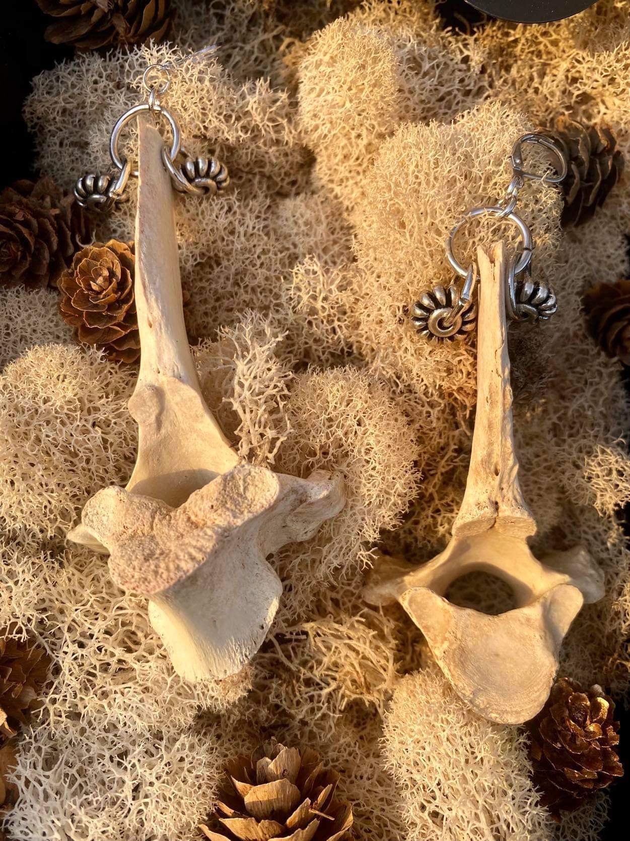 Deer Vertebrae Earrings