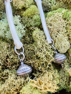 Coyote Bone Earrings
